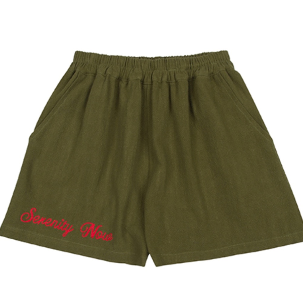 Fashion Brand Company Serenity Now Linen Embroidered Moss Shorts (Never Worn)